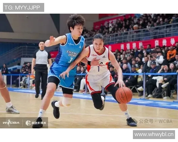 WCBA常规赛收官 河南女篮B组第二挺进季后赛 WCBA常规赛收官 河南女篮B组第二挺进季后赛